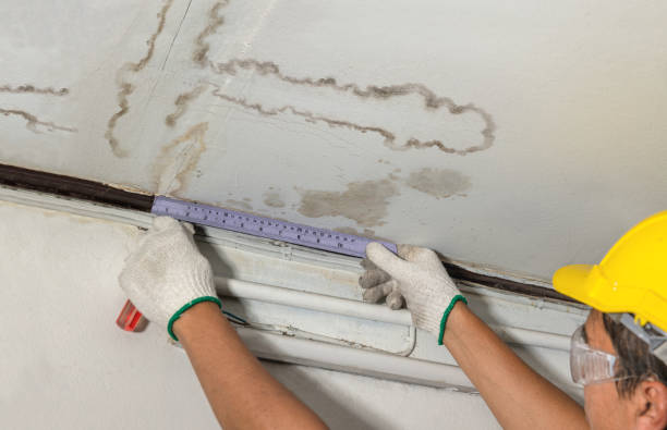 Reliable Water Damage contractor in Leadville, CO by Water Damage Irwin